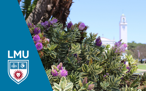 Image of flowers in focus while the Sacred Heart Chapel is out of focus, there is a blue triangle shape on the side coming from the corner of the image and an LMU logo over it.